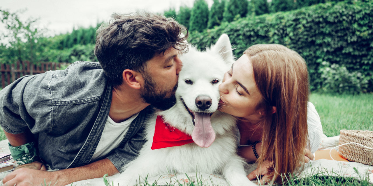 A influência dos Cachorros nos relacionamentos amorosos